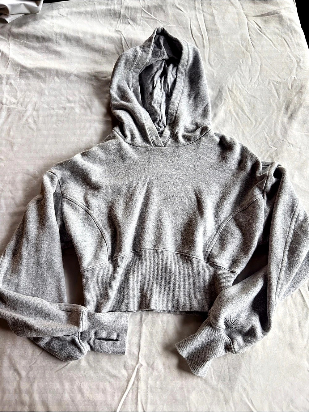 Offline by Aerie Cropped Hoodie in Gray Size Small